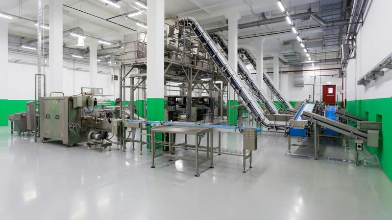 Automazione di nuova generazione: 5 principali tendenze che trasformano i sistemi di trasporto per la lavorazione degli alimenti Sistemi
